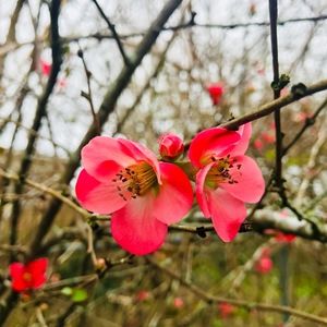 Meet your Posher, Alison